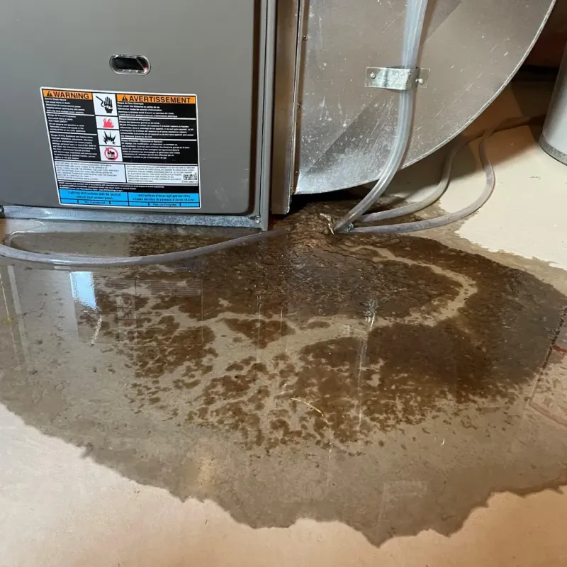 Appliance Leak Cleanup in Harrogate, TN
