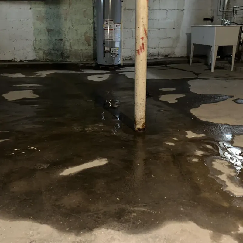 Emergency Water Extraction And Removal in Harrogate, TN